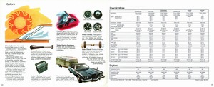 1973 Pontiac Full Size (Cdn)-22-23.jpg